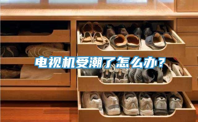 電視機(jī)受潮了怎么辦？