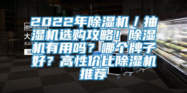 2022年除濕機(jī)／抽濕機(jī)選購(gòu)攻略！除濕機(jī)有用嗎？哪個(gè)牌子好？高性價(jià)比除濕機(jī)推薦