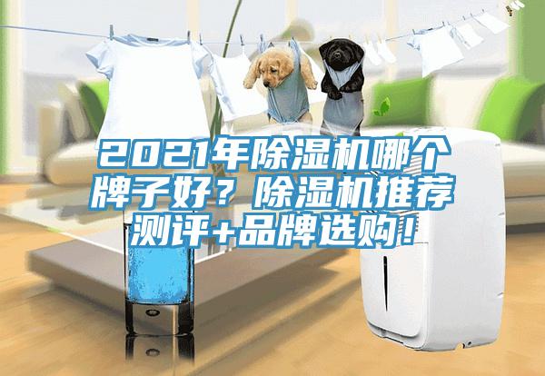 2021年除濕機(jī)哪個(gè)牌子好？除濕機(jī)推薦測(cè)評(píng)+品牌選購(gòu)！