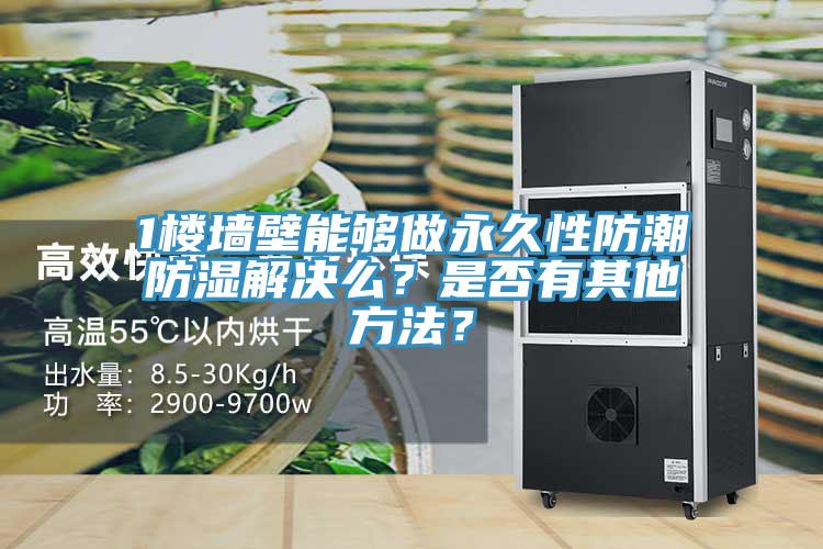1樓墻壁能夠做永久性防潮防濕解決么？是否有其他方法？