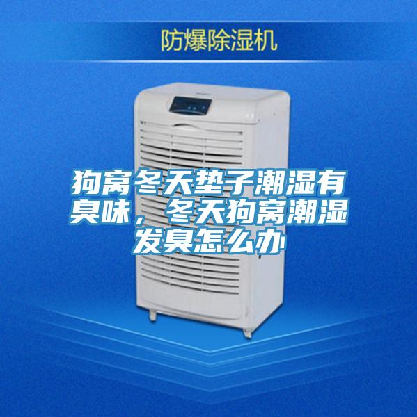 狗窩冬天墊子潮濕有臭味，冬天狗窩潮濕發(fā)臭怎么辦