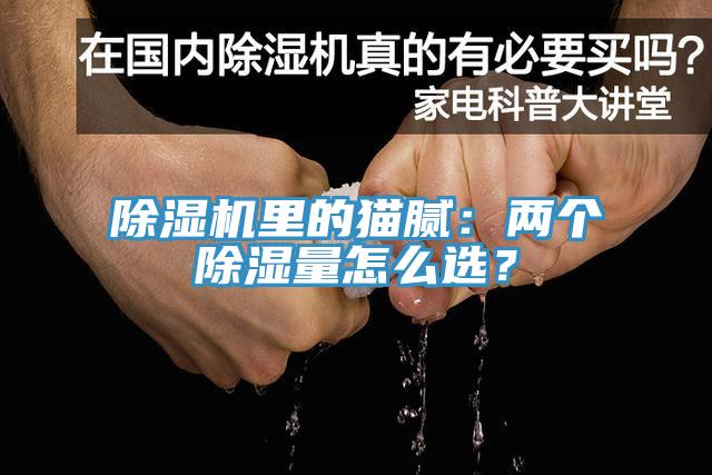除濕機里的貓膩：兩個除濕量怎么選？