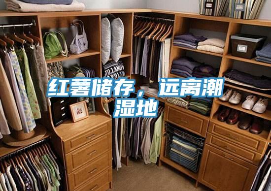 紅薯儲存，遠離潮濕地