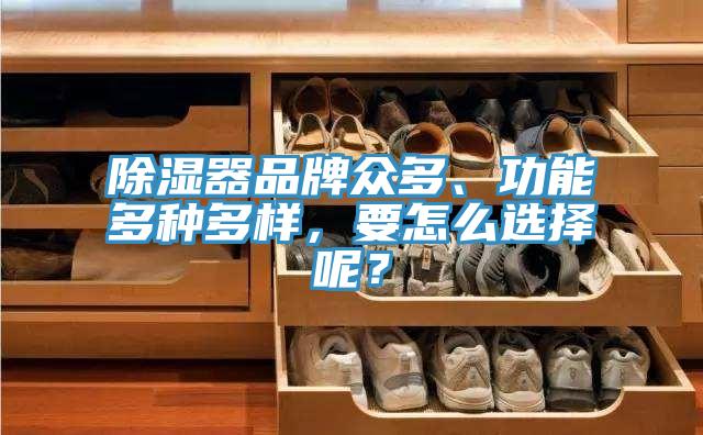 除濕器品牌眾多、功能多種多樣，要怎么選擇呢？