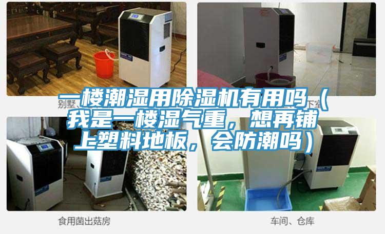 一樓潮濕用除濕機有用嗎（我是一樓濕氣重，想再鋪上塑料地板，會防潮嗎）