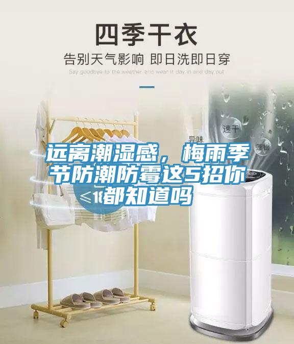 遠(yuǎn)離潮濕感，梅雨季節(jié)防潮防霉這5招你都知道嗎