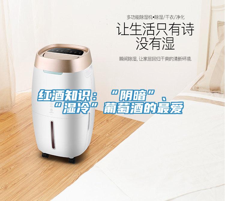 紅酒知識：“陰暗”、“濕冷”葡萄酒的最愛