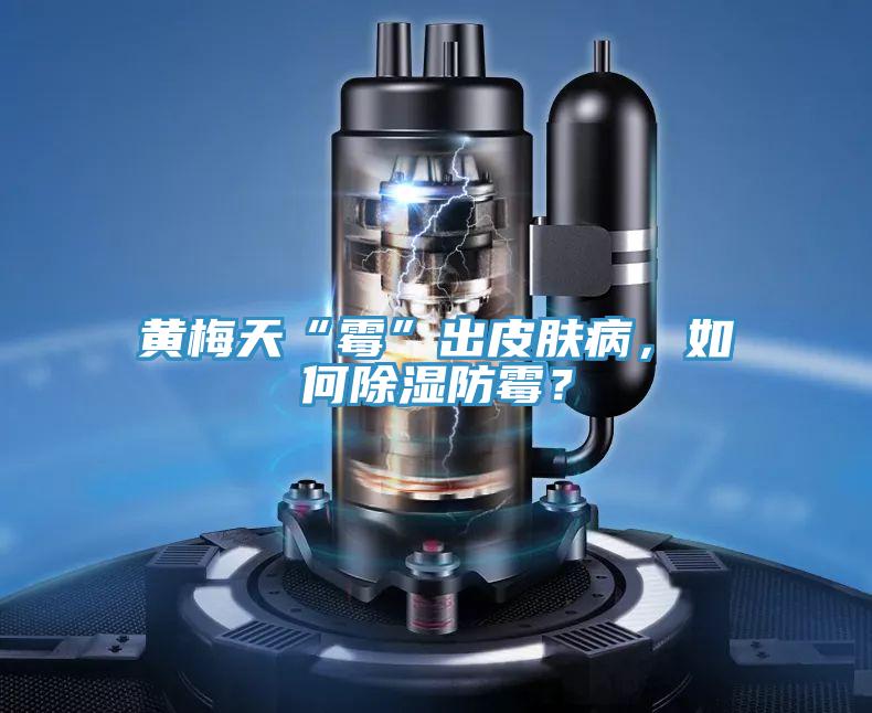 黃梅天“霉”出皮膚病，如何除濕防霉？