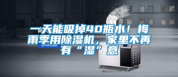 一天能吸掉40瓶水！梅雨季用除濕機，家里不再有“濕”意