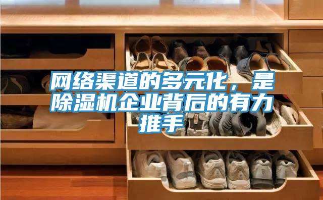 網(wǎng)絡(luò)渠道的多元化，是除濕機(jī)企業(yè)背后的有力推手