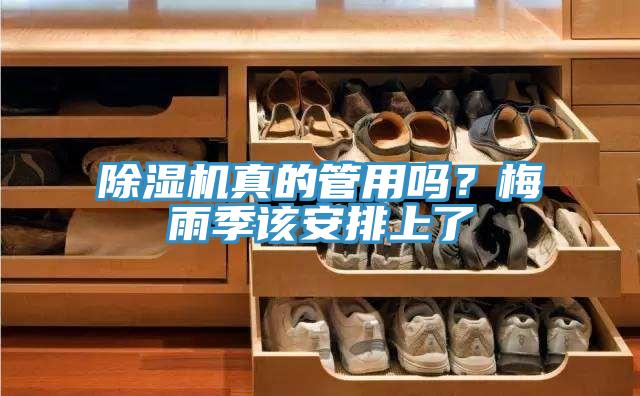 除濕機(jī)真的管用嗎？梅雨季該安排上了