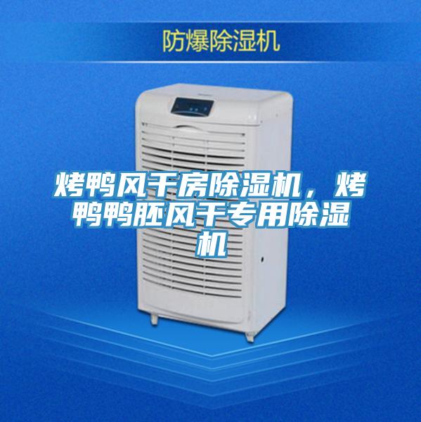烤鴨風(fēng)干房除濕機，烤鴨鴨胚風(fēng)干專用除濕機