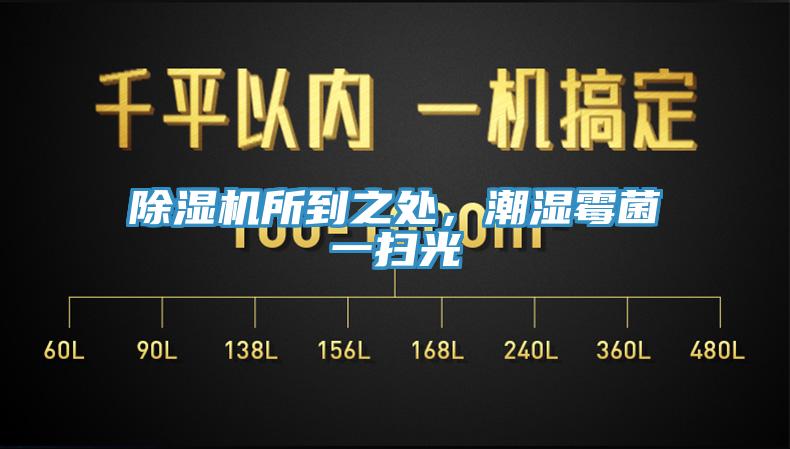 除濕機(jī)所到之處，潮濕霉菌一掃光