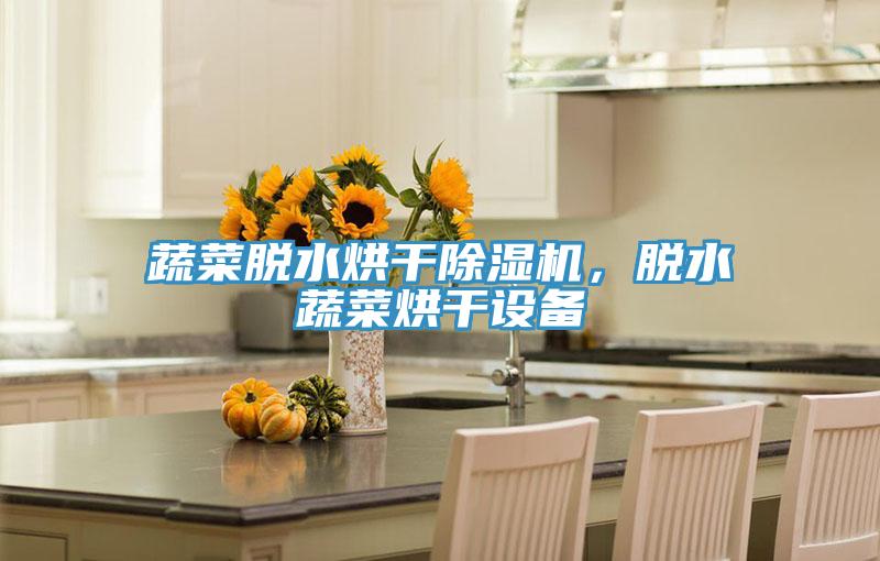 蔬菜脫水烘干除濕機(jī)，脫水蔬菜烘干設(shè)備