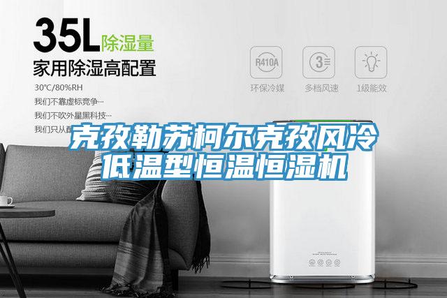 克孜勒蘇柯爾克孜風(fēng)冷低溫型恒溫恒濕機