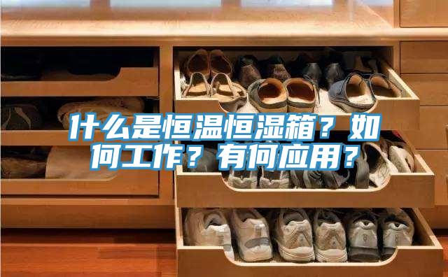 什么是恒溫恒濕箱？如何工作？有何應(yīng)用？