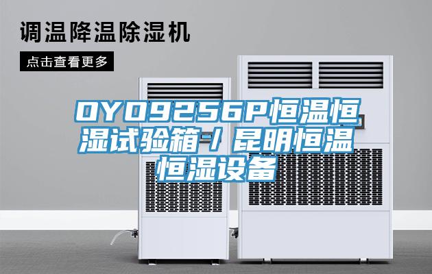 OYO9256P恒溫恒濕試驗(yàn)箱/昆明恒溫恒濕設(shè)備
