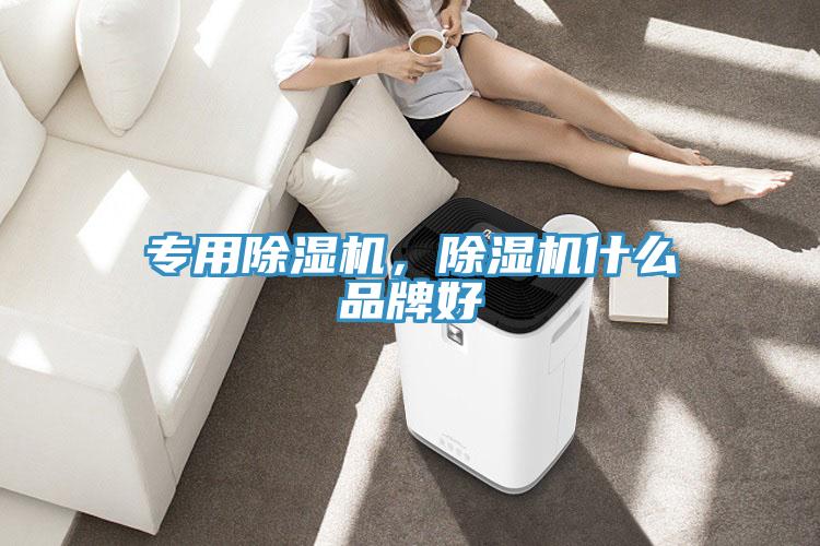 專(zhuān)用除濕機(jī)，除濕機(jī)什么品牌好
