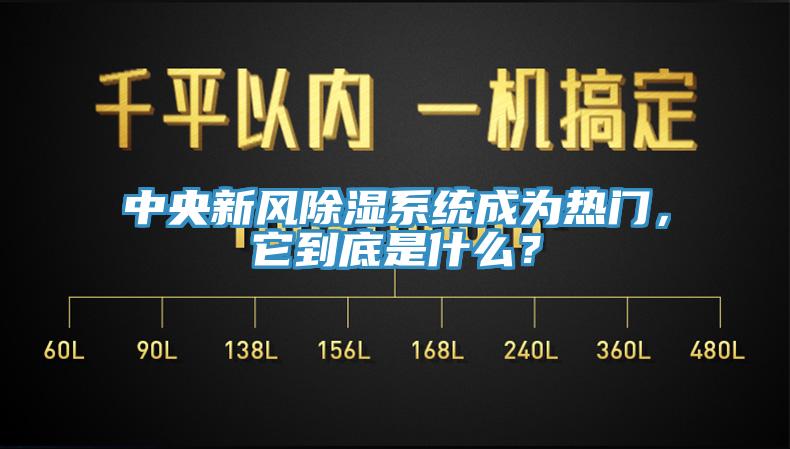 中央新風(fēng)除濕系統(tǒng)成為熱門，它到底是什么？