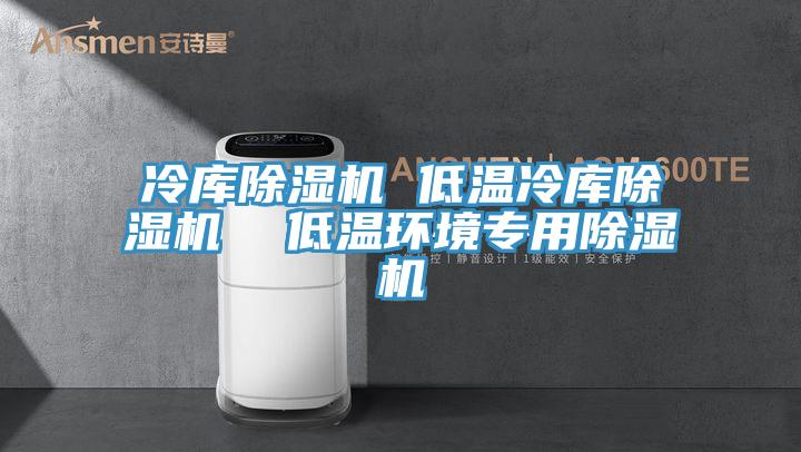 冷庫除濕機 低溫冷庫除濕機 低溫環(huán)境專用除濕機