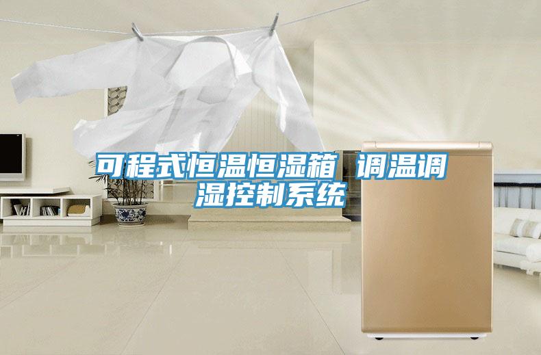 可程式恒溫恒濕箱 調溫調濕控制系統(tǒng)