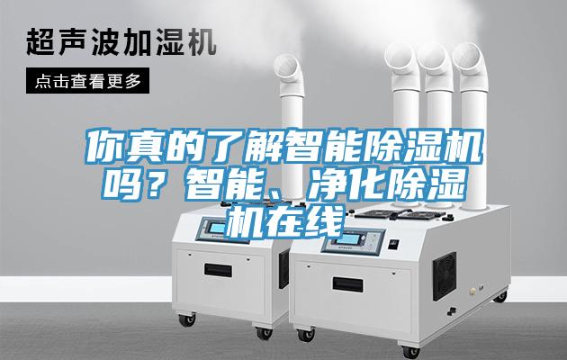 你真的了解智能除濕機嗎？智能、凈化除濕機在線