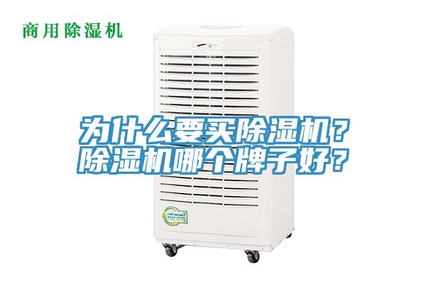 為什么要買除濕機？除濕機哪個牌子好？