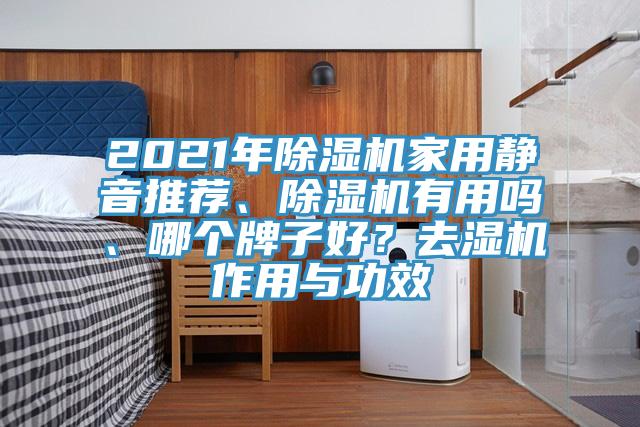 2021年除濕機(jī)家用靜音推薦、除濕機(jī)有用嗎、哪個(gè)牌子好？去濕機(jī)作用與功效