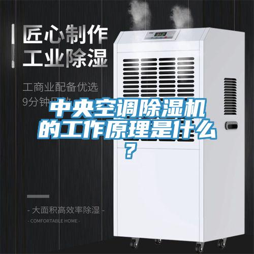 中央空調(diào)除濕機(jī)的工作原理是什么？