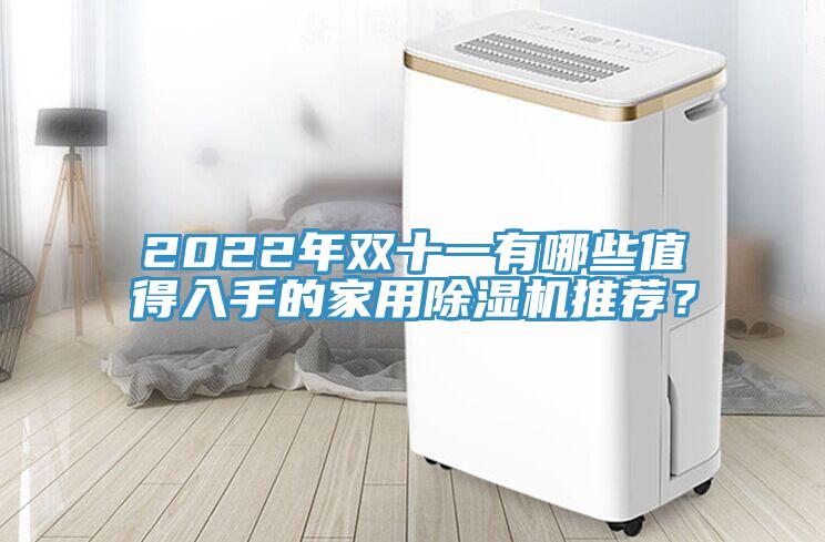 2022年雙十一有哪些值得入手的家用除濕機推薦？