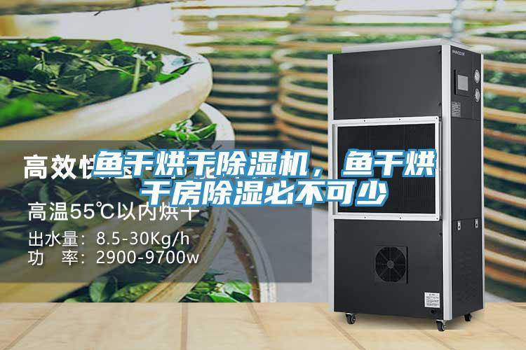 魚干烘干除濕機(jī)，魚干烘干房除濕必不可少