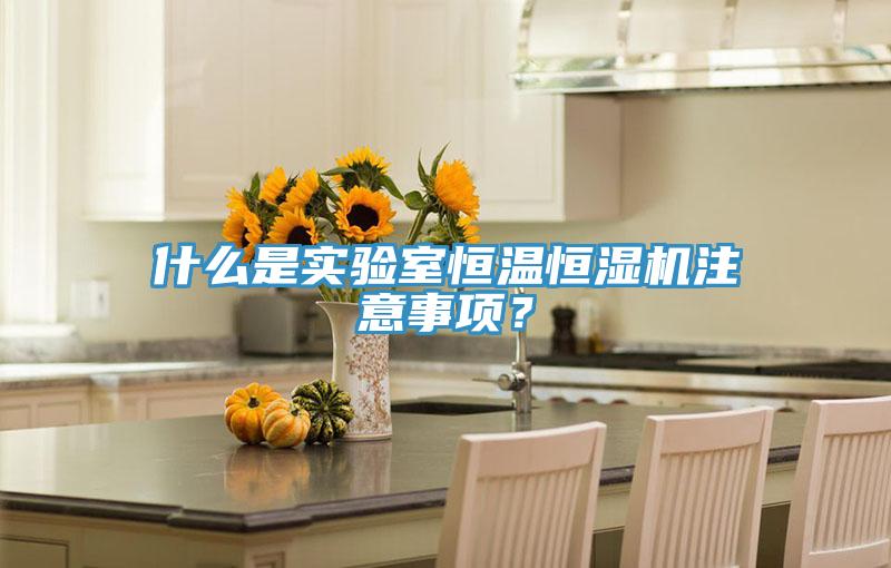 什么是實(shí)驗(yàn)室恒溫恒濕機(jī)注意事項(xiàng)？