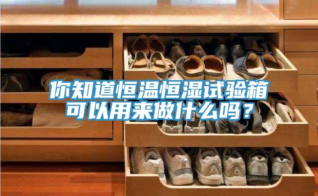 你知道恒溫恒濕試驗(yàn)箱可以用來做什么嗎？