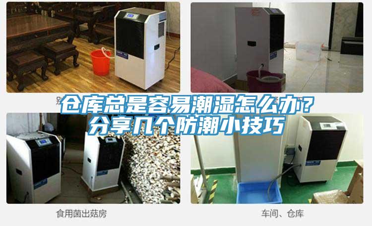 倉庫總是容易潮濕怎么辦？分享幾個(gè)防潮小技巧