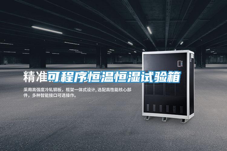 可程序恒溫恒濕試驗箱