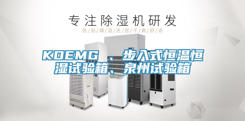 KOEMG 、步入式恒溫恒濕試驗箱、泉州試驗箱