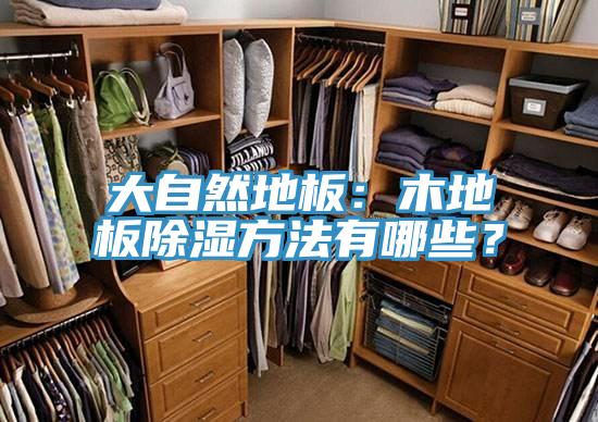大自然地板：木地板除濕方法有哪些？