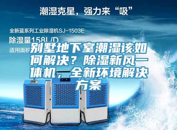 別墅地下室潮濕該如何解決？除濕新風(fēng)一體機，全新環(huán)境解決方案
