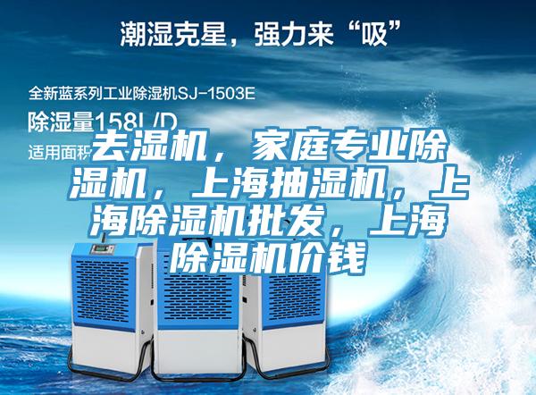 去濕機，家庭專業(yè)除濕機，上海抽濕機，上海除濕機批發(fā)，上海除濕機價錢