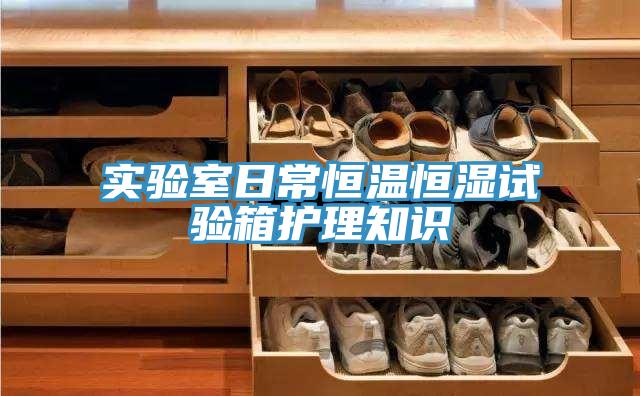 實(shí)驗(yàn)室日常恒溫恒濕試驗(yàn)箱護(hù)理知識