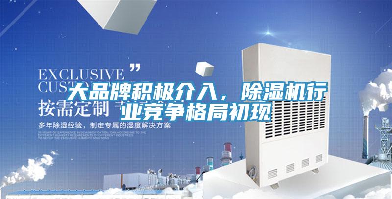 大品牌積極介入，除濕機行業(yè)競爭格局初現(xiàn)