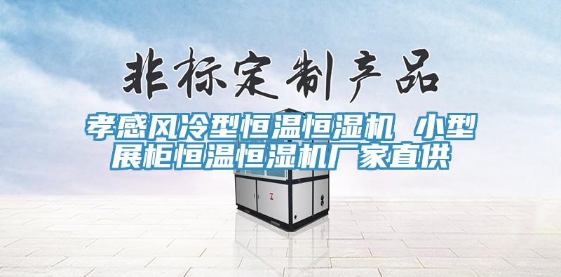 孝感風(fēng)冷型恒溫恒濕機(jī) 小型展柜恒溫恒濕機(jī)廠家直供