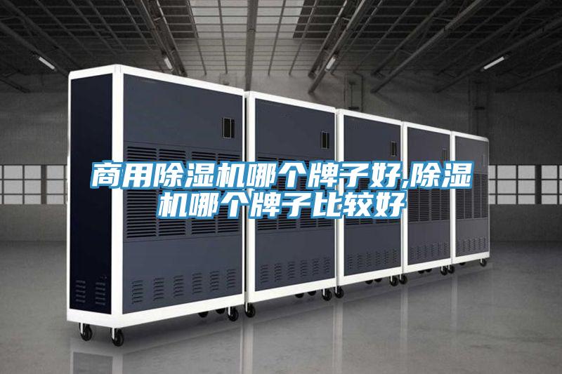 商用除濕機(jī)哪個牌子好,除濕機(jī)哪個牌子比較好