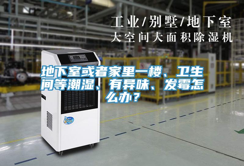 地下室或者家里一樓、衛(wèi)生間等潮濕、有異味、發(fā)霉怎么辦？