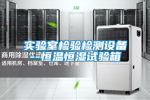 實(shí)驗(yàn)室檢驗(yàn)檢測設(shè)備--恒溫恒濕試驗(yàn)箱