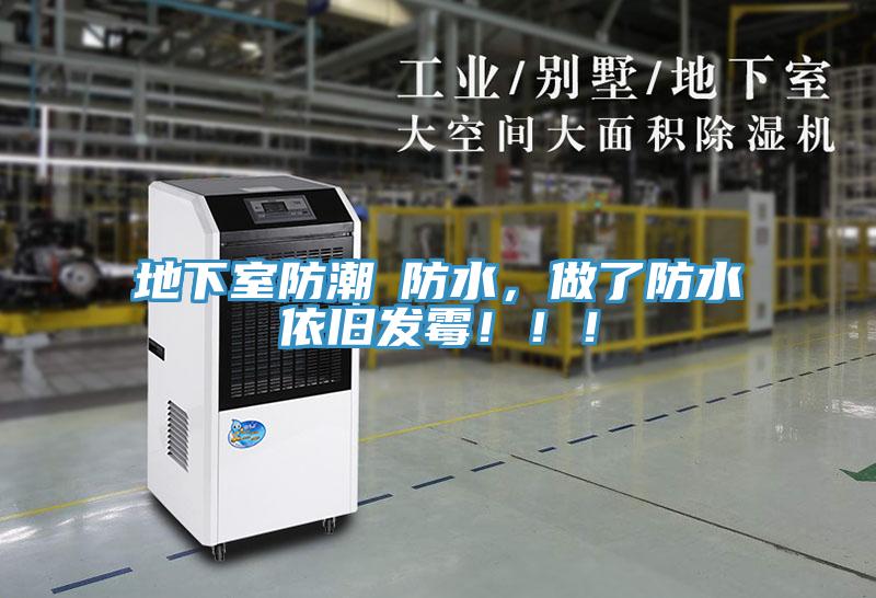 地下室防潮≠防水，做了防水依舊發(fā)霉?。。?></div>
								<div   id=