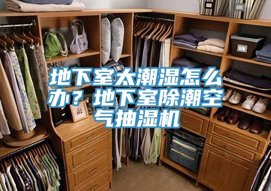 地下室太潮濕怎么辦？地下室除潮空氣抽濕機