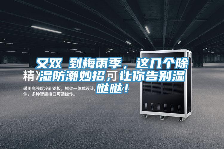 又雙叒到梅雨季，這幾個(gè)除濕防潮妙招，讓你告別濕噠噠！
