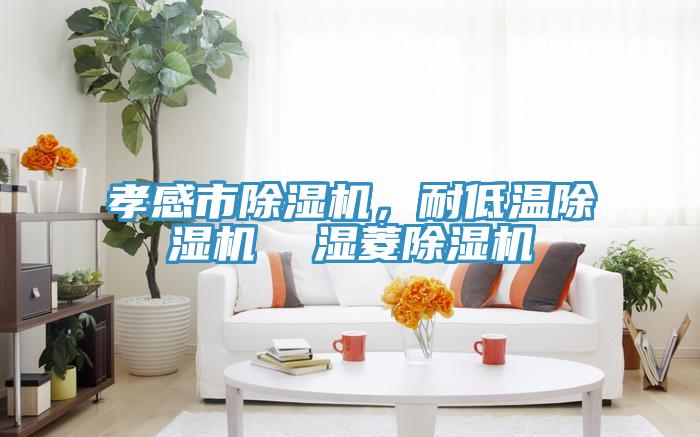 孝感市除濕機(jī)，耐低溫除濕機(jī)  濕菱除濕機(jī)