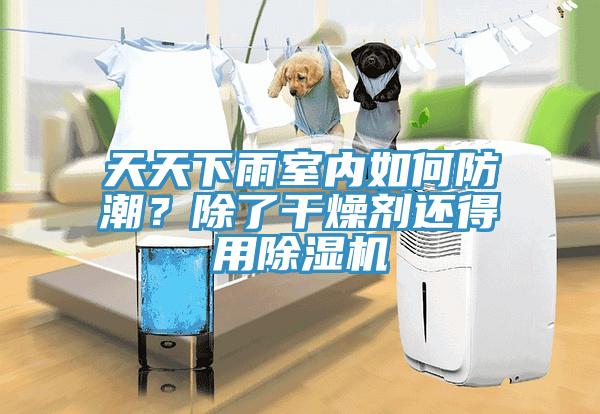 天天下雨室內(nèi)如何防潮?除了干燥劑還得用除濕機(jī)